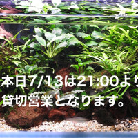 画像1038