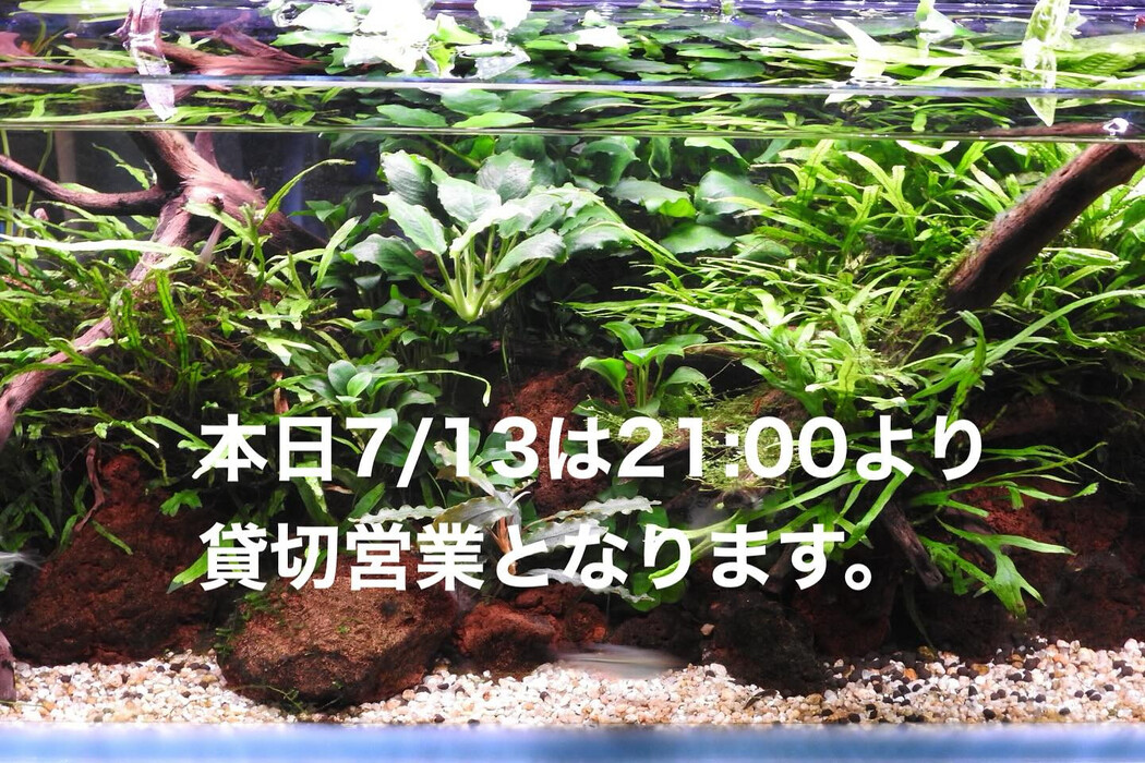 画像1038
