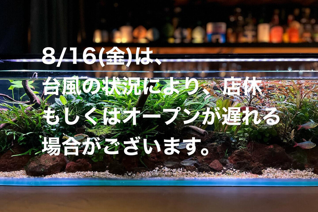 画像1087