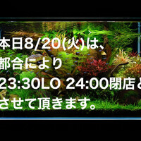 画像1102