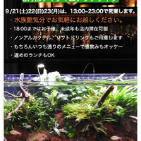 画像1125