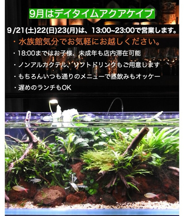 画像1125