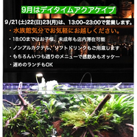 画像1147