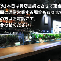 画像1219