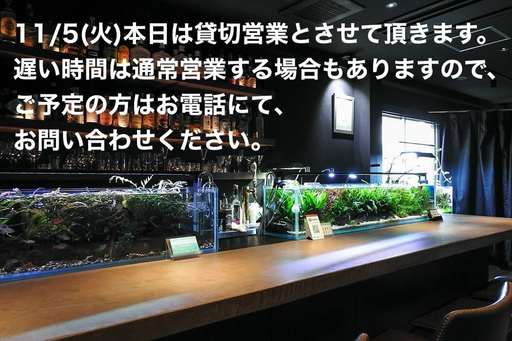 画像1219
