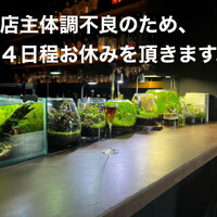 画像1252