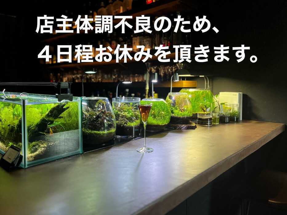 画像1252