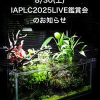 画像1456