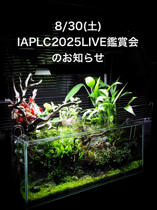 画像1456