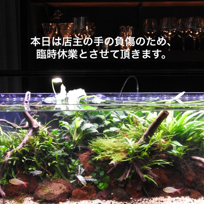 画像1503