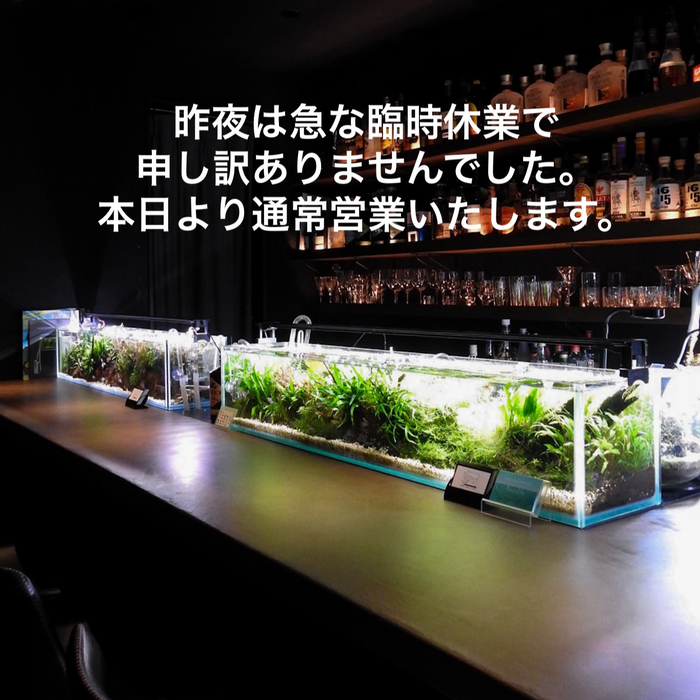 画像1505
