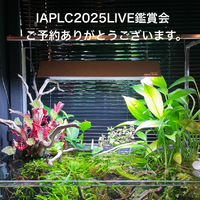 画像1507
