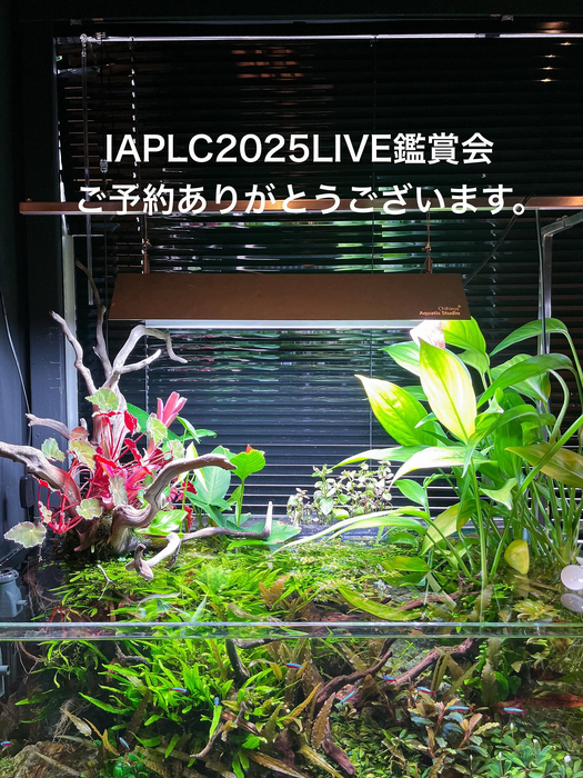 画像1507