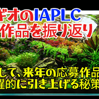 画像1812