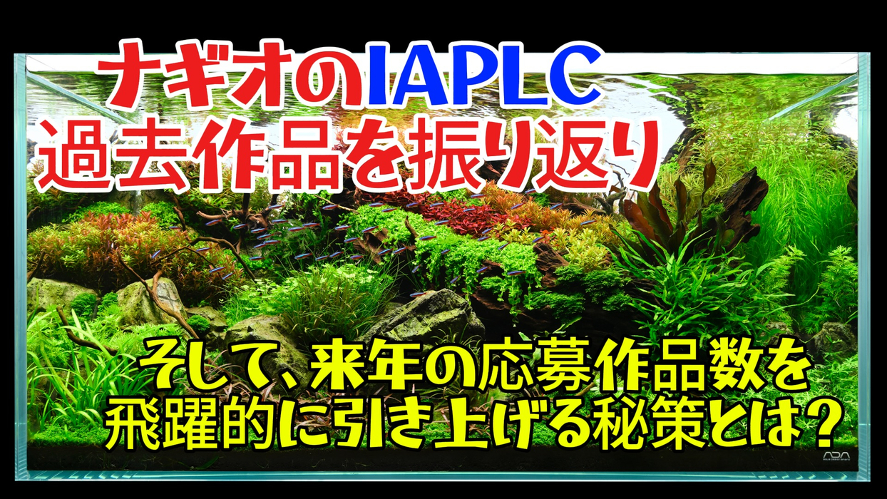 画像1812