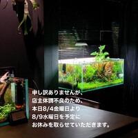 画像324