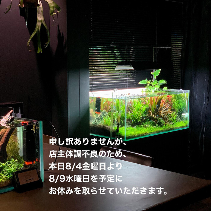 画像324
