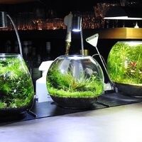 画像425