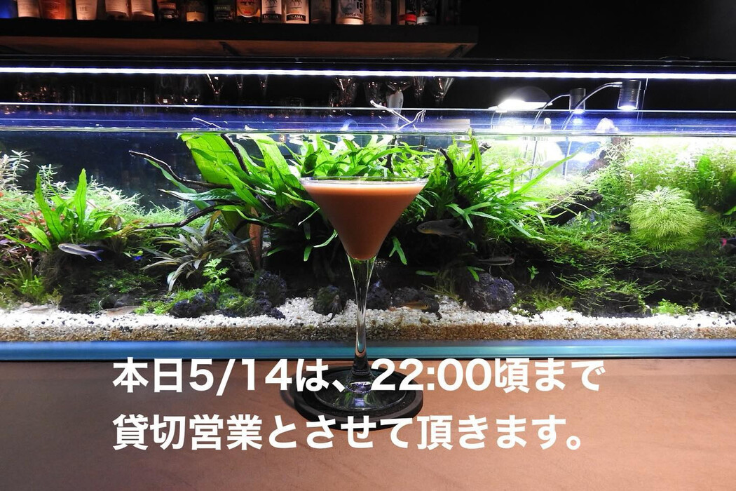 画像893