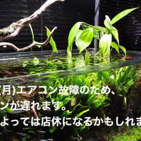 画像985
