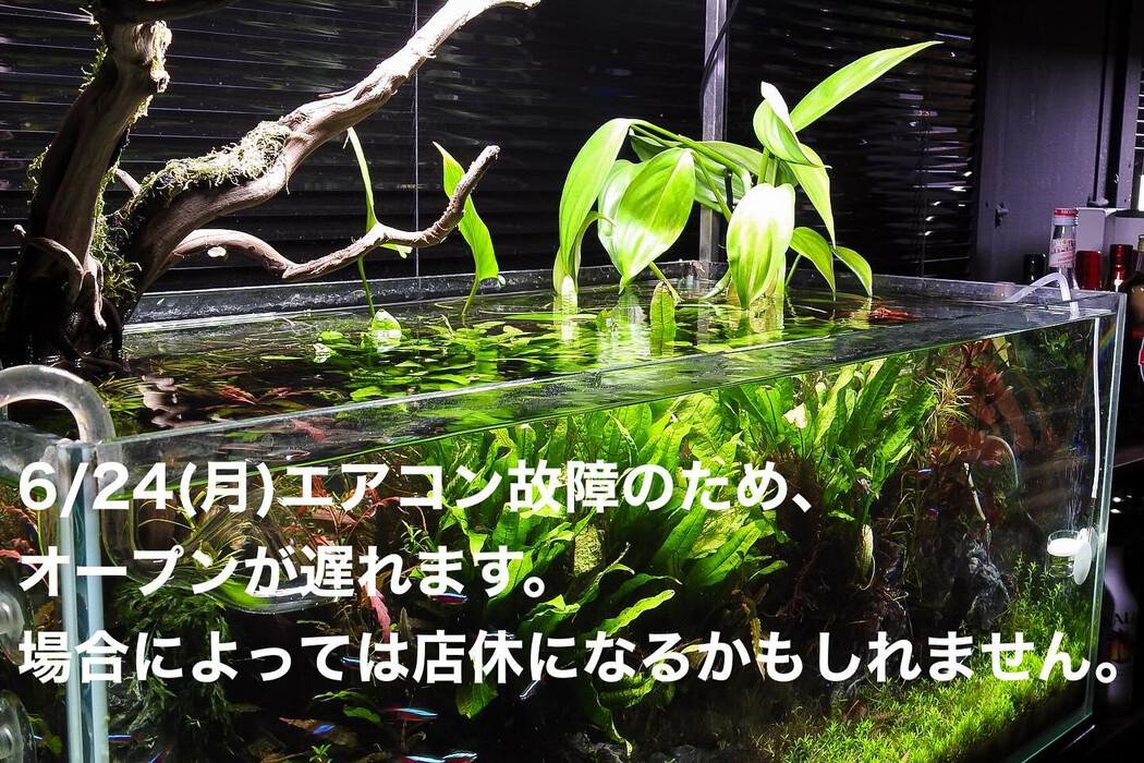 画像985