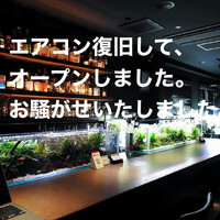 画像987