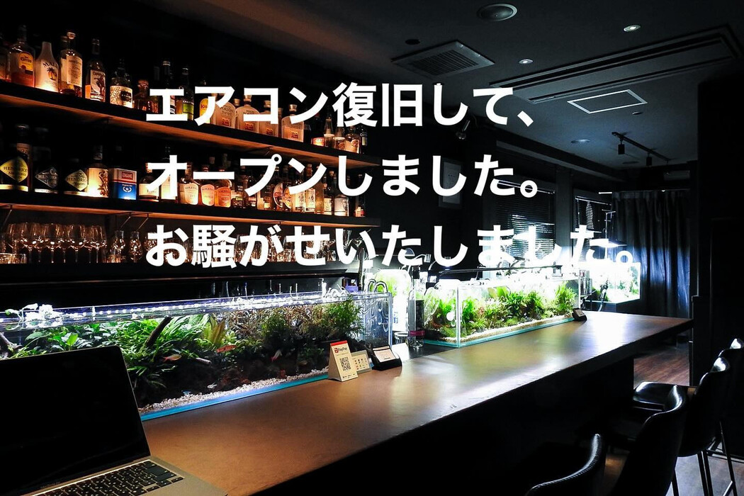画像987